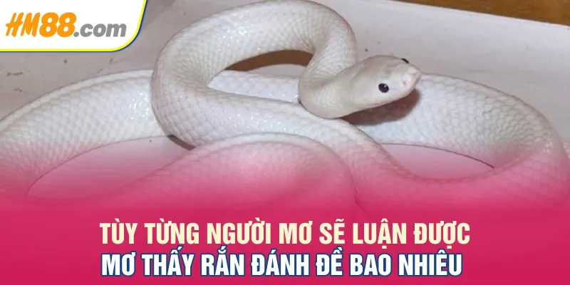 Tùy từng người mơ sẽ luận được Mơ thấy rắn đánh đề bao nhiêu